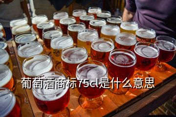 葡萄酒商標(biāo)75cl是什么意思