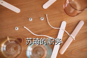 蘇琦的職務(wù)