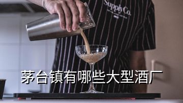 茅臺鎮(zhèn)有哪些大型酒廠