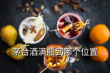 茅臺酒滿瓶到哪個位置