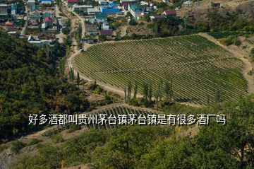 好多酒都叫貴州茅臺鎮(zhèn)茅臺鎮(zhèn)是有很多酒廠嗎