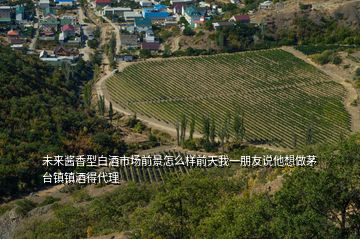未來醬香型白酒市場前景怎么樣前天我一朋友說他想做茅臺鎮(zhèn)鎮(zhèn)酒得代理