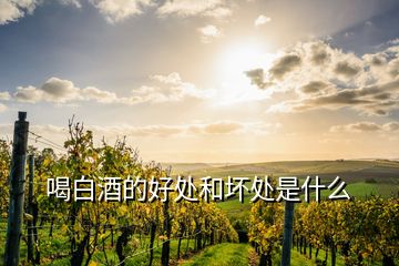 喝白酒的好處和壞處是什么