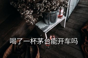 喝了一杯茅臺(tái)能開車嗎