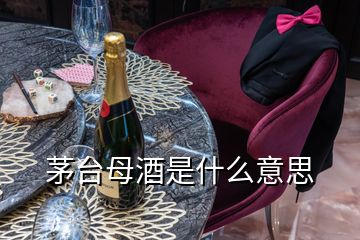 茅臺(tái)母酒是什么意思