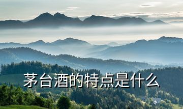 茅臺酒的特點是什么