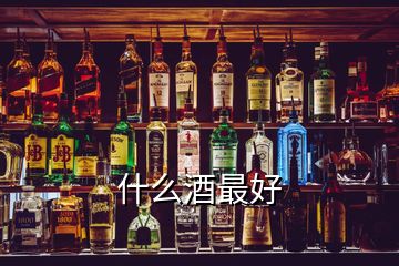 什么酒最好