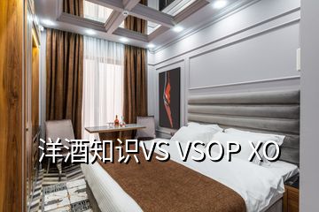 洋酒知識(shí)VS VSOP XO