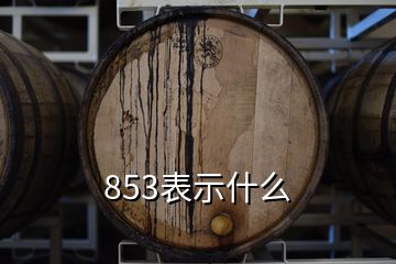 853表示什么