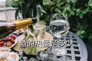 酒的熱量是多少