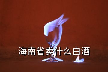 海南省賣(mài)什么白酒