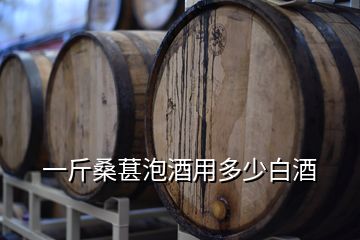 一斤桑葚泡酒用多少白酒