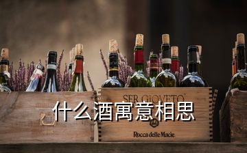 什么酒寓意相思