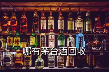 哪有茅臺(tái)酒回收