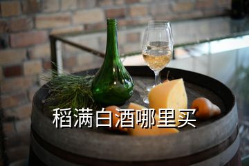 稻滿白酒哪里買