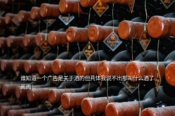 誰知道一個(gè)廣告是關(guān)于酒的但具體我說不出那叫什么酒了畫面