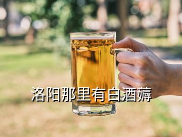 洛陽那里有白酒薅