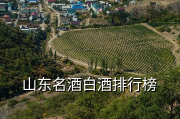 山東名酒白酒排行榜