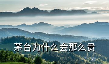 茅臺(tái)為什么會(huì)那么貴