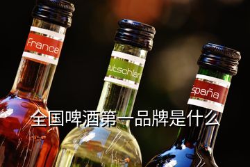 全國啤酒第一品牌是什么