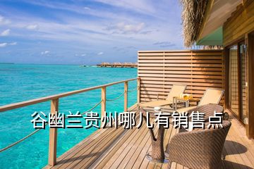 谷幽蘭貴州哪兒有銷售點(diǎn)