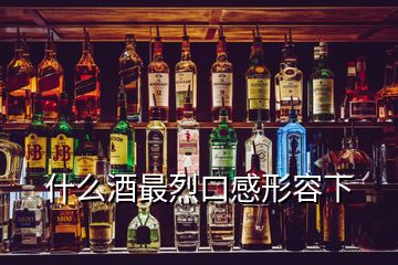 什么酒最烈口感形容下