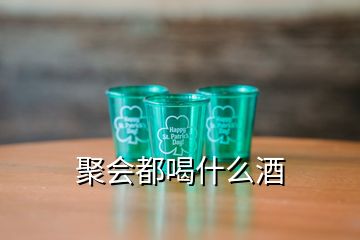 聚會都喝什么酒