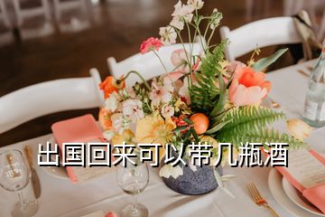 出國(guó)回來(lái)可以帶幾瓶酒