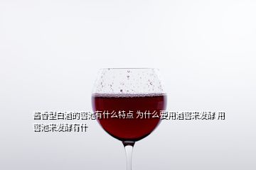 醬香型白酒的窖池有什么特點(diǎn) 為什么要用酒窖來發(fā)酵 用窖池來發(fā)酵有什