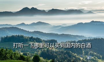 打聽一下哪里可以買到國內(nèi)的白酒