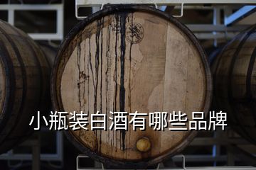 小瓶裝白酒有哪些品牌