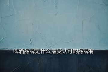 啤酒品牌是什么最受認(rèn)可的品牌有