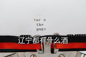 遼寧都有什么酒