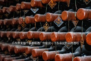 山東原來每個縣都有酒廠你能說一下各縣區(qū)的品牌酒嗎