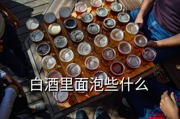 白酒里面泡些什么