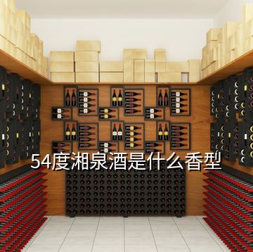 54度湘泉酒是什么香型