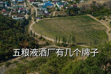 五糧液酒廠有幾個(gè)牌子