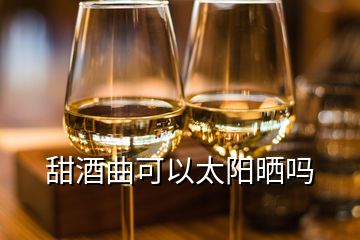 甜酒曲可以太陽曬嗎