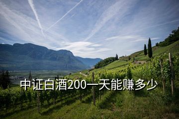 中證白酒200一天能賺多少