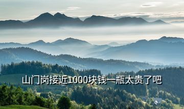 山門崗接近1000塊錢一瓶太貴了吧