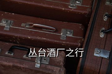 叢臺(tái)酒廠之行