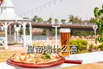 皇帝喝什么酒