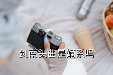 劍南頭曲是嫡系嗎