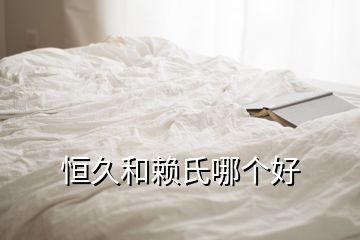 恒久和賴氏哪個(gè)好