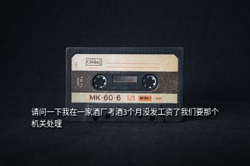 請(qǐng)問(wèn)一下我在一家酒廠考酒3個(gè)月沒(méi)發(fā)工資了我們要那個(gè)機(jī)關(guān)處理