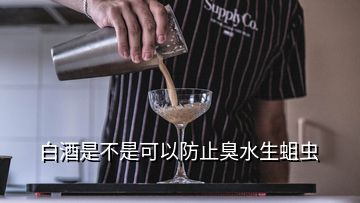 白酒是不是可以防止臭水生蛆蟲