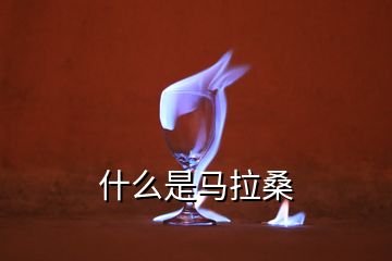 什么是馬拉桑