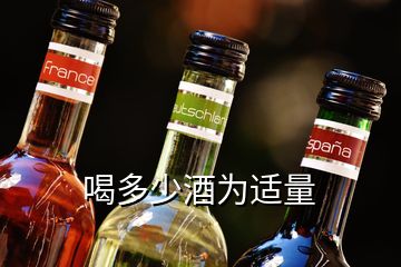 喝多少酒為適量