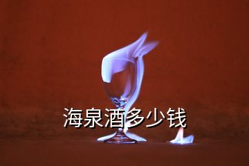 海泉酒多少錢(qián)