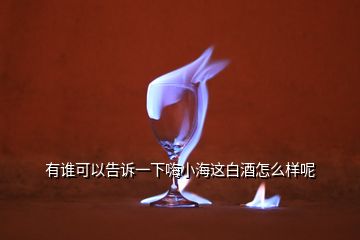 有誰可以告訴一下嗨小海這白酒怎么樣呢